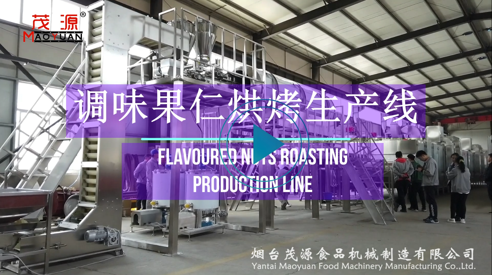 調(diào)味果仁烘烤生產(chǎn)線（茂源）